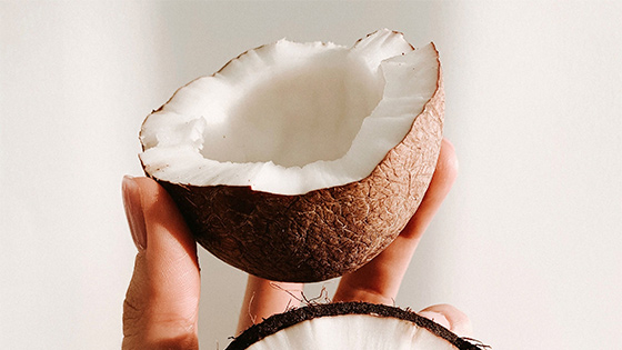 Imagem mão segurando um coco