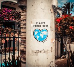 Cartaz: Primeiro o planeta
