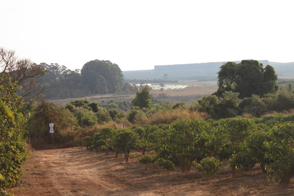 Foto da Fazenda Fortaleza em Patrocínio - MG