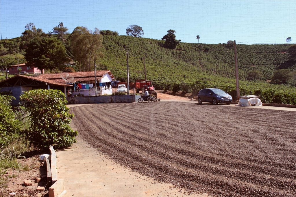 Processamento natural no Sítio do Alto